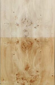 whatsapp image 2025 09 25 at 8.34.12 pm