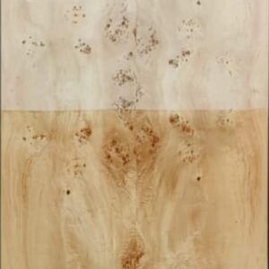 whatsapp image 2025 09 25 at 8.34.12 pm